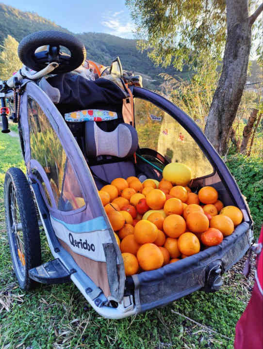 Vitamins! The children's trailer can also be converted for transporting food.