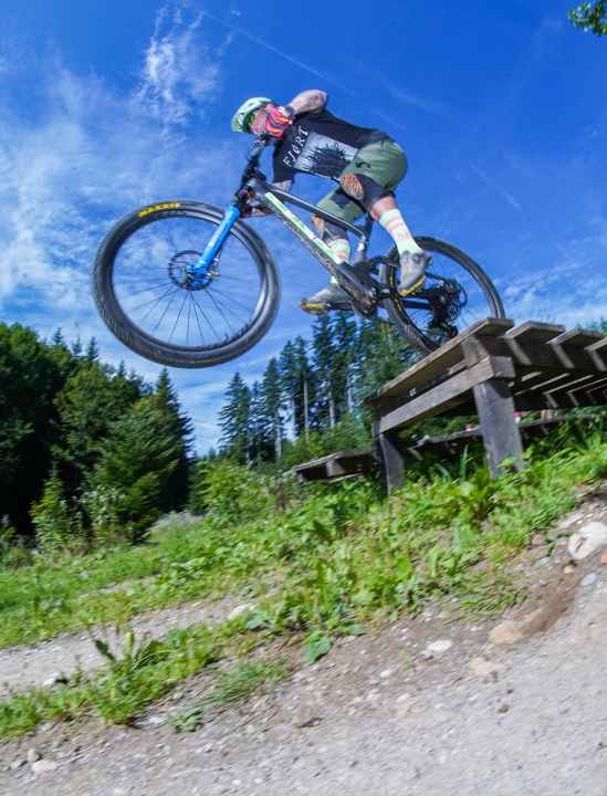 The Scott Spark is also suitable for bike park use with its Tele support and 120 millimetre travel. Top: The chain stayed on the chainring even during extreme shaking or jumps.