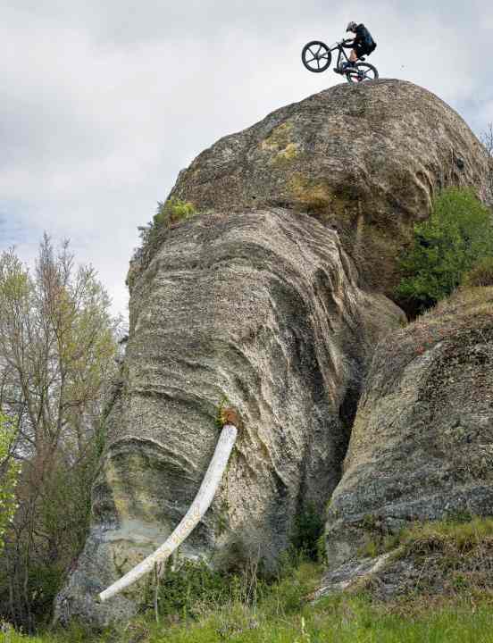 On the elephant's head