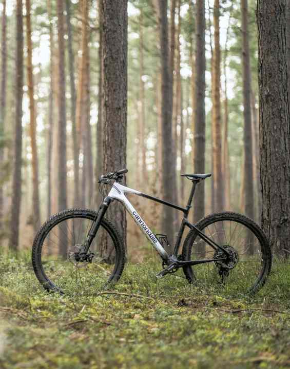   Cannondale Scalpel HT