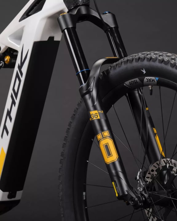 The exclusive TP4 LTD model comes in a limited edition of just 30 units. The equipment is of a significantly higher quality than the basic model. Accordingly, the price is also noticeably higher at 10,490 euros.