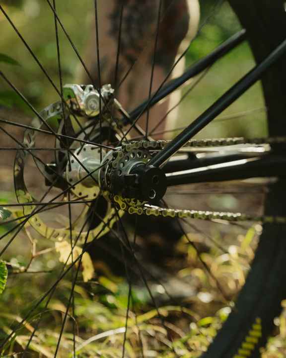 Is that perhaps the little googly eye? The eccentric integrated in the dropout adjusts the chain tension on the Starling Singlespeeder Beady. There are no gears, so there is no mount for them.