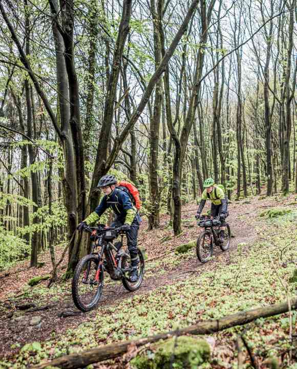 Varied Vosges Trail with many highlights