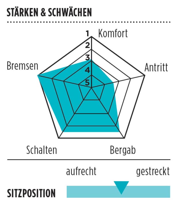   Focus Cayo Disc Donna 105