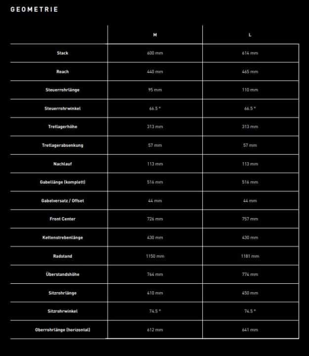 The geometry of the Specialized World Cup at a glance. Of course there are also other frame sizes, for the sake of clarity only M and L here.