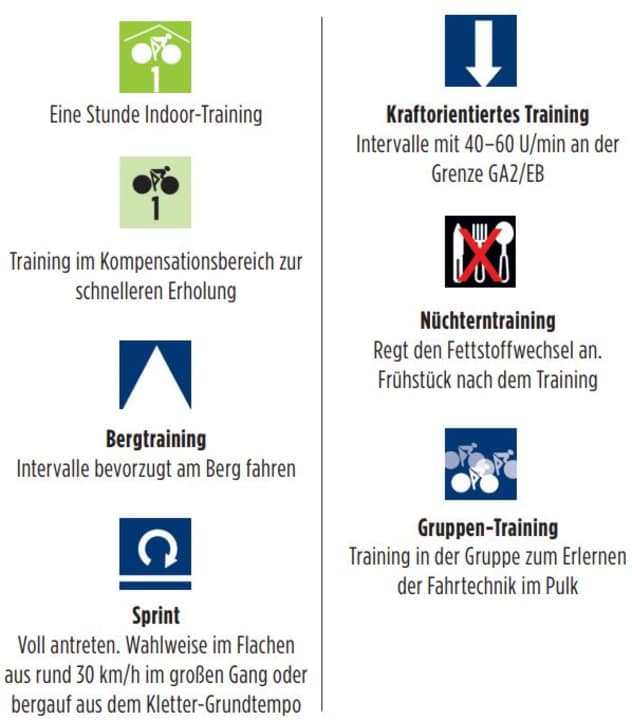 The most important symbols for the training content.