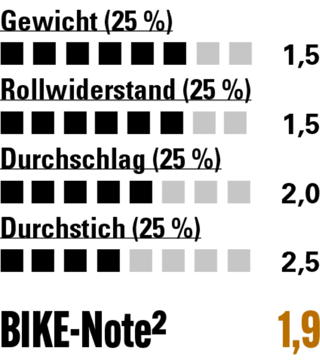 Der WTB liefert passable Werte in allen Bereichen