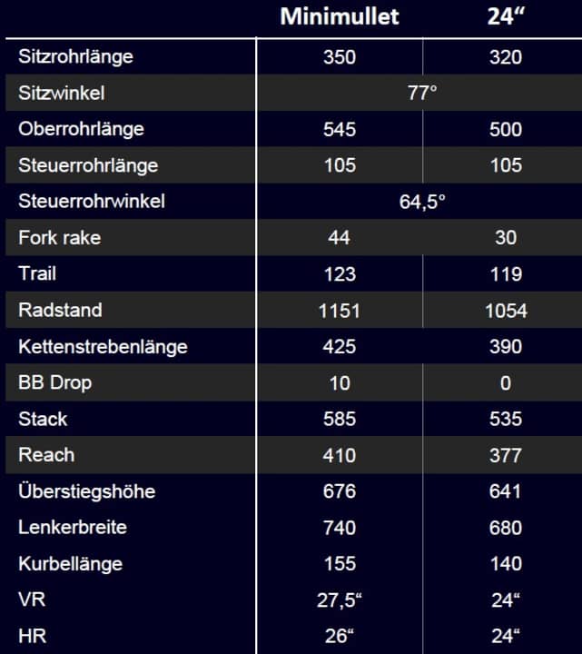 The geometry data of the two Faith children's MTBs.