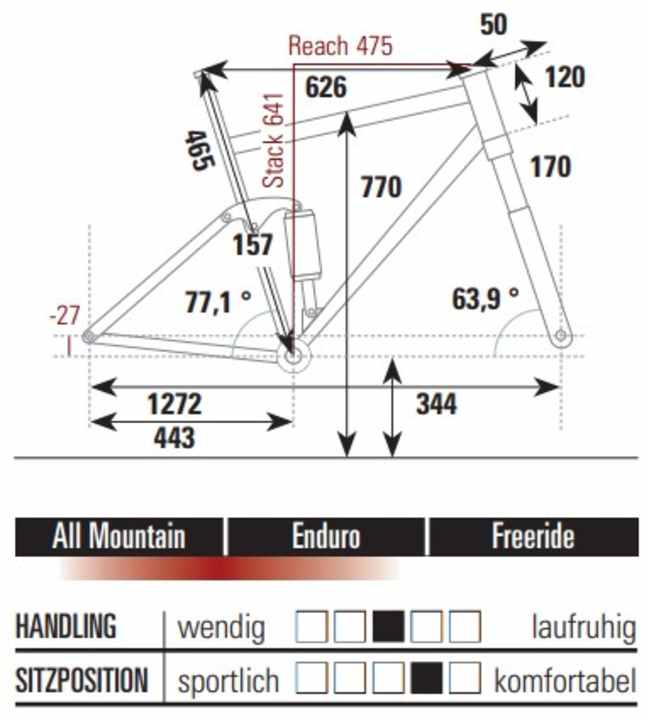 Die Geometrie des Liteville 303 MK1 Race in Größe L.
