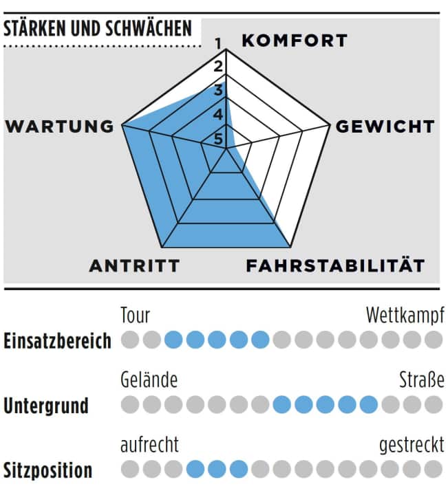 Stärken und Schwächen des Canyon Endurace 6