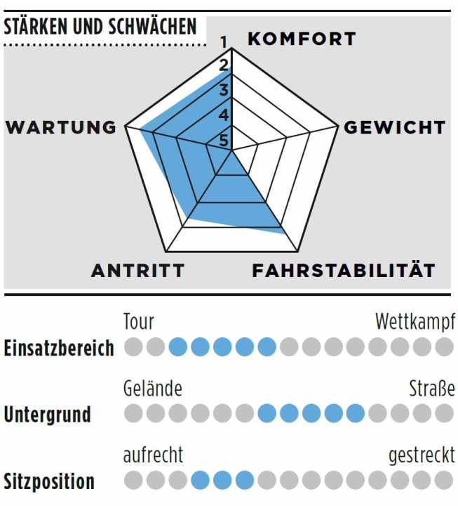 Stärken und Schwächen des Giant Contend AR 2
