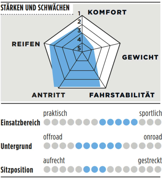 Stärken, Schwächen und weitere Infos zum 3T Exploro Primo