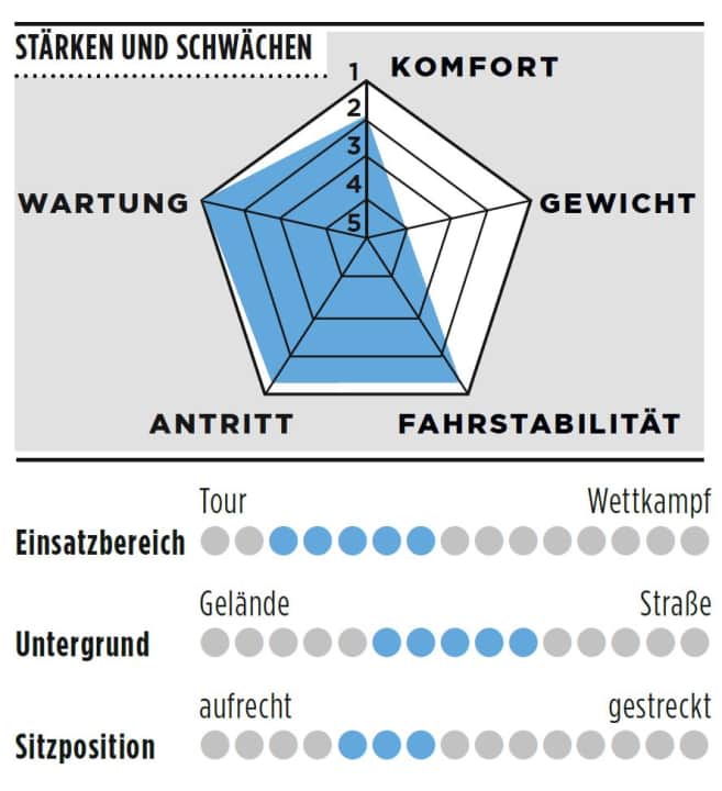 Stärken, Schwächen und weitere Details zum Koga Roqa Premium