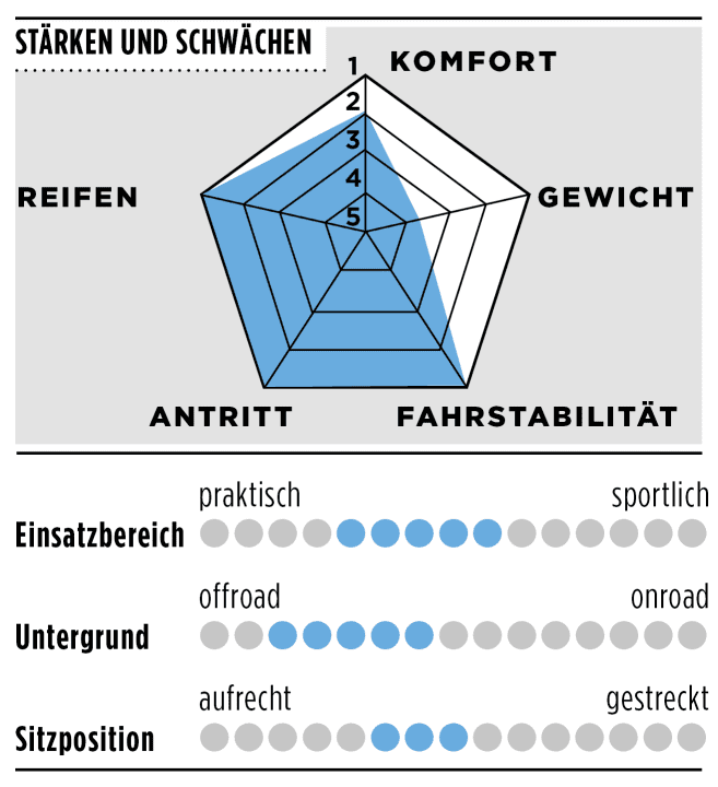 Stärken, Schwächen und weitere Details des Canyon Grizl CF SL 6 AXS