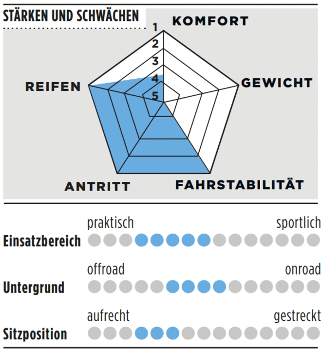 Strengths, weaknesses and further details of the VSF Fahrradmanufaktur GX-500.