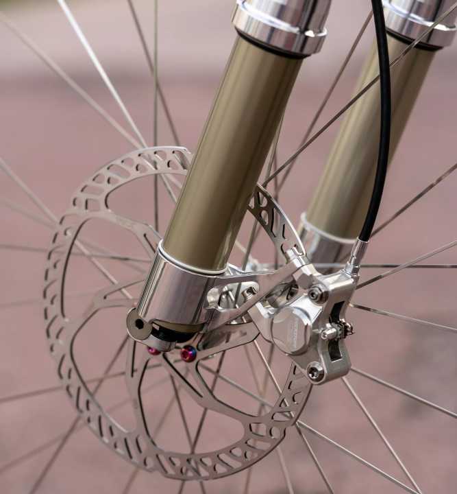 Graceful and elegant in perfection: Trickstuff meets Intend in the brake calliper mount.
