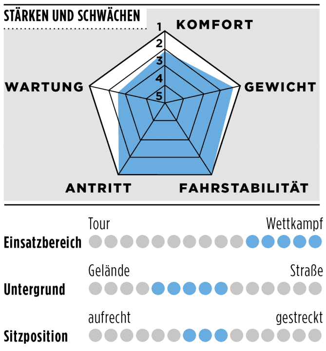 tour/spinne-kaius_8426b76d6da0e5a9b3b5d5d78e86e356