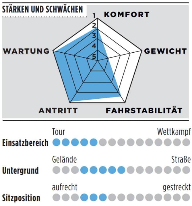 Stärken, Schwächen und weitere Details zum Koga Roqa Allroad