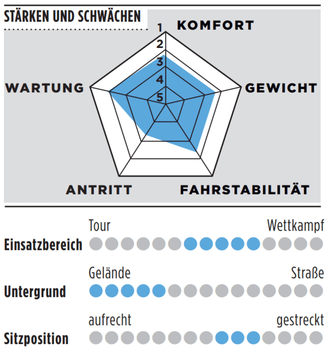 Stärken und Schwächen des Basso Palta III