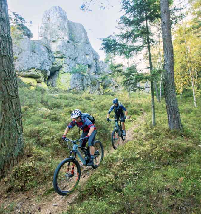 Durch den Wiener Wald - Anreise mit Zug und Fernbus