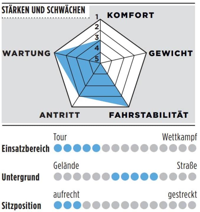 Grafik zu Stärken und Schwächen, sowie Einsatzbereich, Untergrund und Sitzposition des Trek Domane AL5.