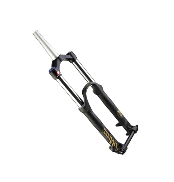   Rockshox Domain