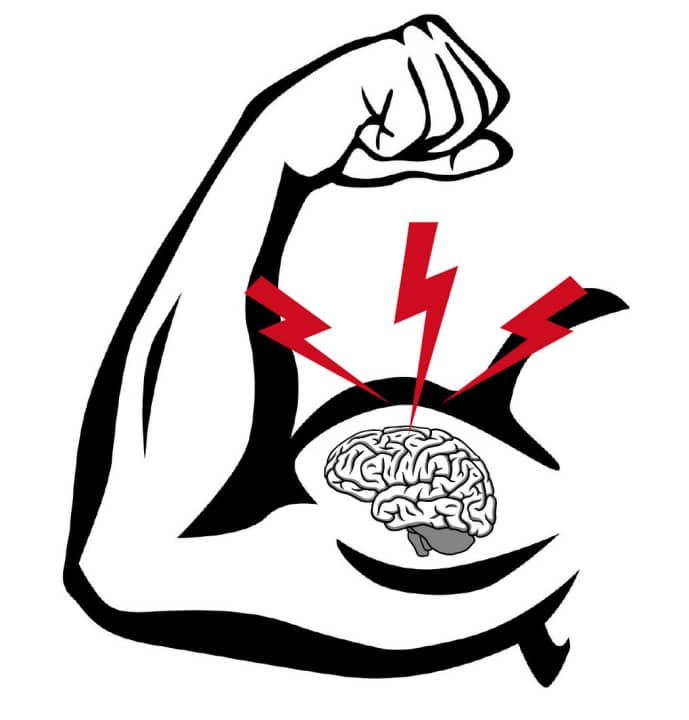   The brain stops physical labour before the body can harm itself.