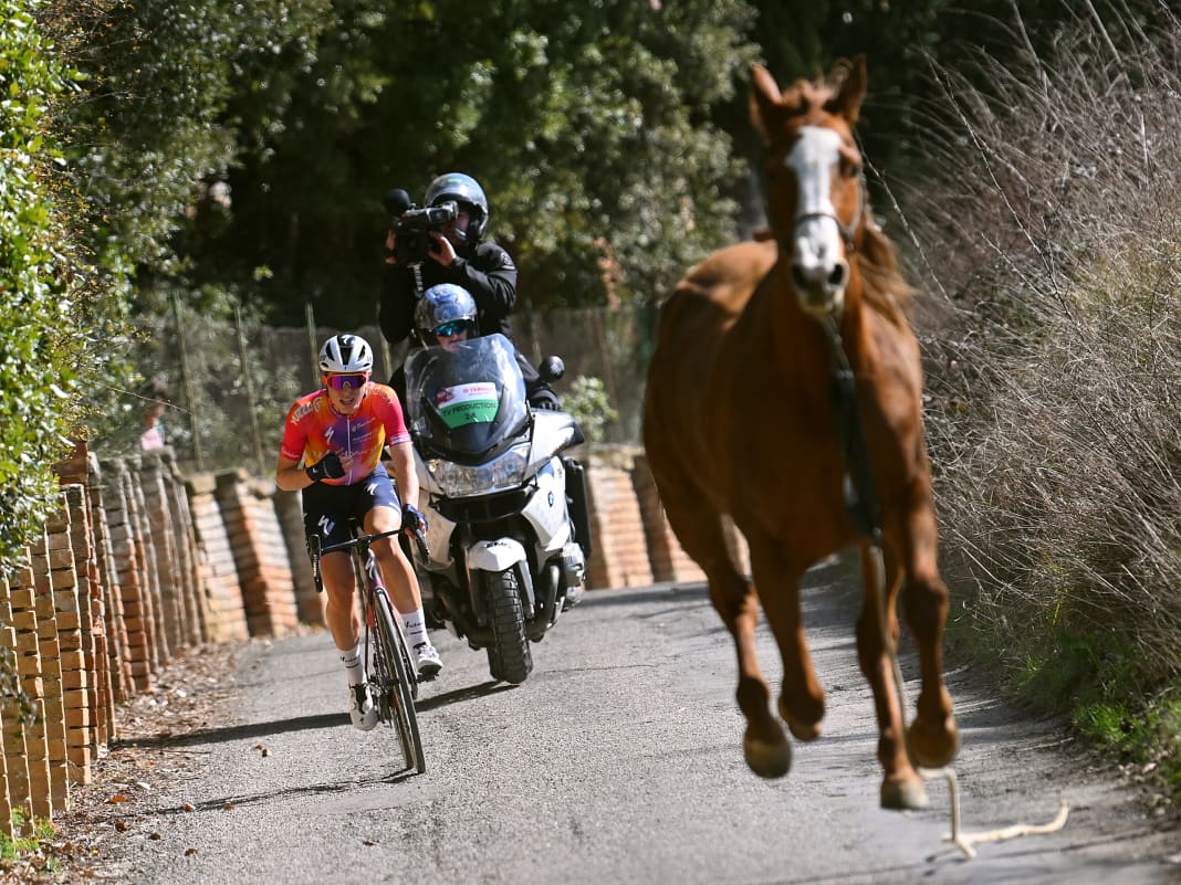 Pferd sorgt für Hektik - Vollering siegt im Damenrennen