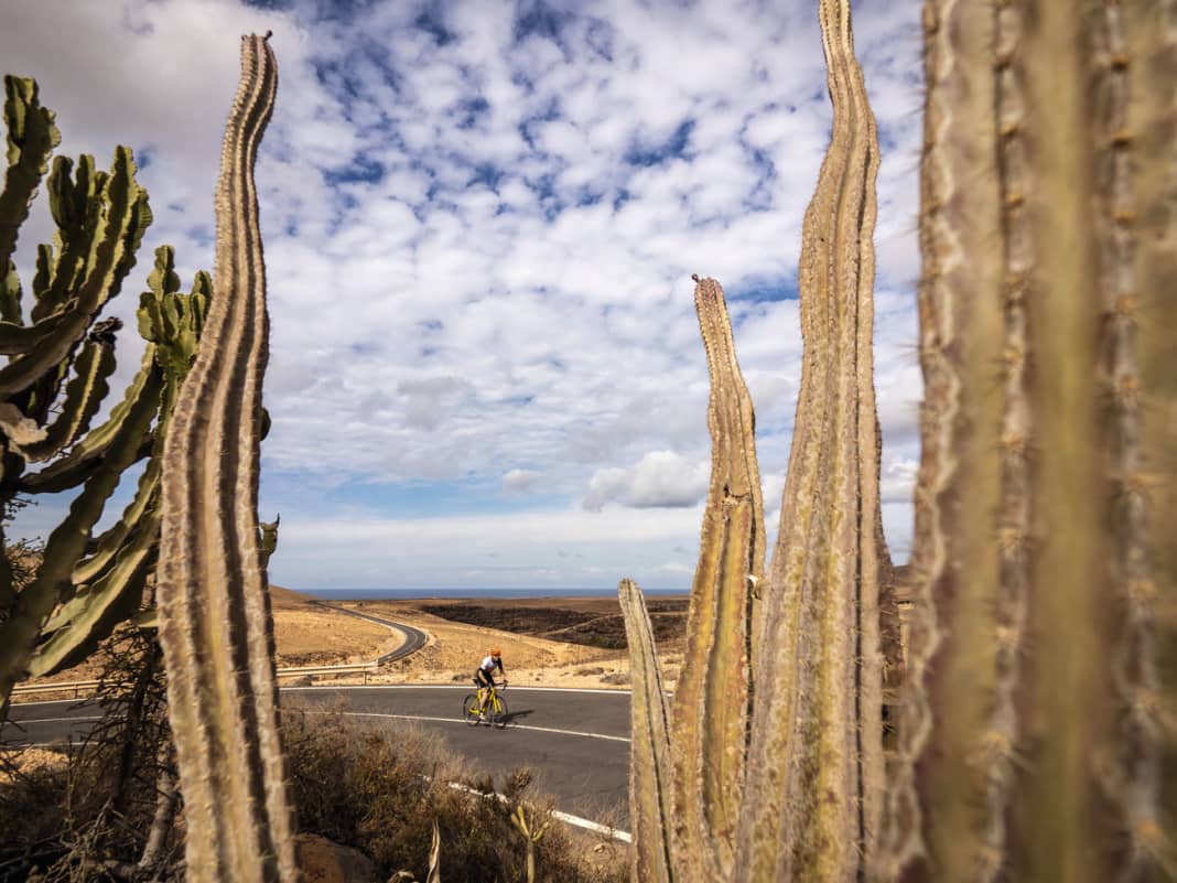 Vier Rennrad-Touren auf Fuerteventura