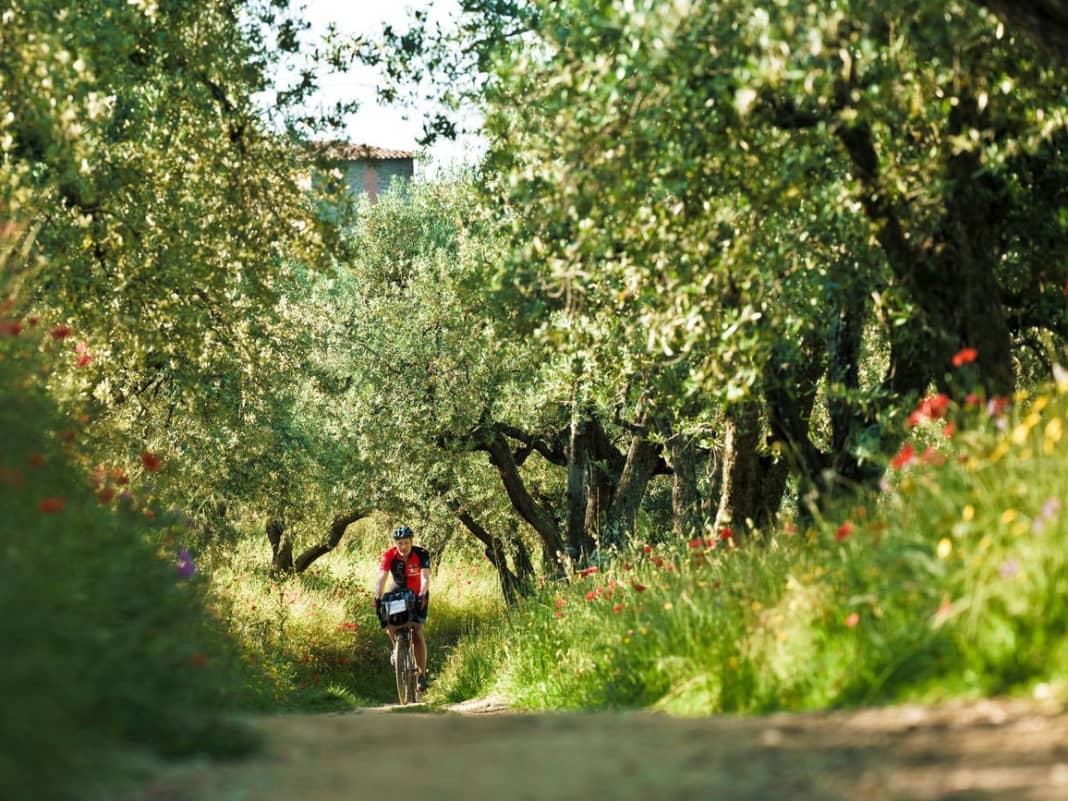 Bikepaking-Abenteuer auf dem Tuscany-Trail - In fünf Tagen mit dem Gravelbike durch die Toskana
