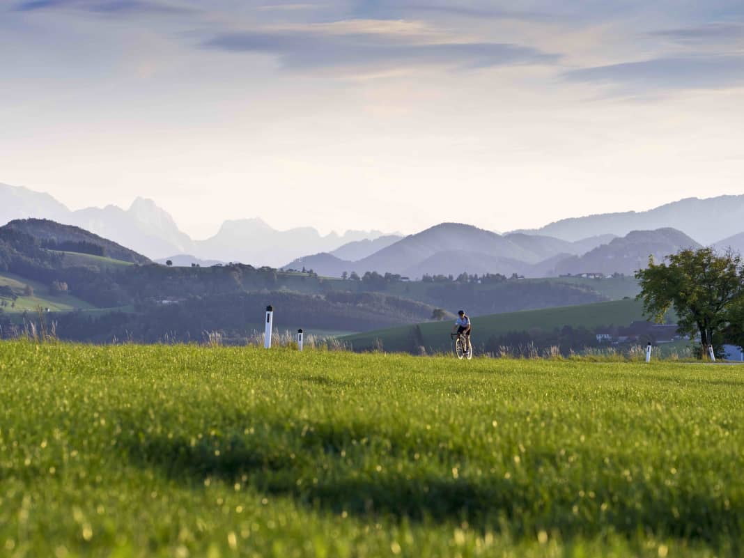 Vier Rennradtouren in Oberösterreich - Seen und Berge: Traumtouren von Wels ins Alpenvorland