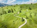 Travelling on the green panoramic carpet of the Pralongia.
