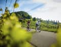 Die Steiermark ist ein bergiges, bewaldetes Bundesland in Österreich – und ein Eldorado für Radsportler