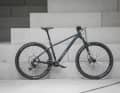 Canyon Grand Canyon AL 8: vielseitiges Hardtail mit sportlichem Anspruch zum fairen Preis: 1699 Euro.