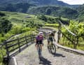 On the steep, bumpy ramps through the vineyards in the Cembra Valley, a former Olympic athlete is also happy about the gentle e-support on the gravel bike.