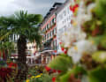 Ein Hauch Mittelmeer. Prächtige Blumen und Palmen schmücken den Hauptplatz in Lienz. Von hier starten die Sterntouren.