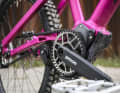 The Pinion gearbox delivers twelve evenly spaced gears with a gear ratio range of 600 per cent, driven by a Gates carbon drive belt. Thanks to Smart Shift technology, all gears are shifted electronically in sequence or in random jumps - regardless of whether the bike is stationary or travelling.