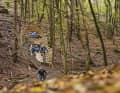Holzkunstwerk im Rheinwald: Lukas fährt den Bretter-Loop.
