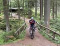 Narrow paths, bridges, little streams: just before Bärnau, the route leads through dense woodland.