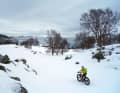 Snow crunching under the tyres and sheer endless expanses: Lapland adventure.