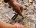 Le plus : une fois remplie, la poche à eau n'a pas besoin d'être fermée à l'aide d'un clip, ce qui est fastidieux. Une fermeture magnétique à trois points la referme presque automatiquement. Les fuites d'eau sont pratiquement impossibles. Mais faut-il vraiment utiliser de l'eau de ruisseau…