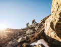 Test trail bikes from down-country to mini enduro - eight bikes from 3199 euros in comparison