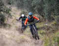 Alongside the Cube Stereo One 44 and the Canyon Neuron LTD, the GT Sensor had to prove itself in a practical test on the trails at Lake Garda.