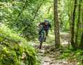 Grass and peaceful forest have now grown over the 100 kilometres of military roads.