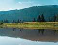 The Alpe Cimbra is a classic area for touring bikers, but there are now also bike parks in Lavarone and - brand new: Folgaria.