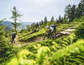 The new, six-kilometre-long Statera Schwarzwald is soooo... Enduro!