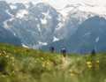 Flowing trails with berms, Northshores and premium views of the Adamello mountains await at the end of the valley.