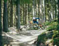 The chairlift on the Geißkopf usually doesn't work in winter, but there is an entertaining uphill trail and if the descents are not being overtaken, you can ride them.
