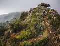 Free trails, relaxed locals, pleasant temperatures: the authors of the touring bible "Tuscany Trails" also preferred to research their tours in November.