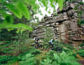 Stacked pancakes surrounded by one of the most densely interwoven trail networks in Germany.